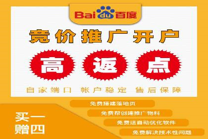 百度竞价排名案例：如何实现精准营销